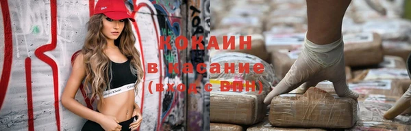 крисы Богородск
