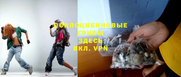 крисы Богородск