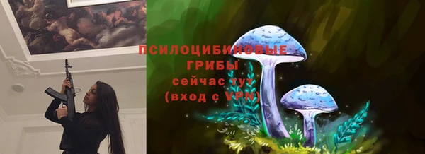 гашишное масло Богданович