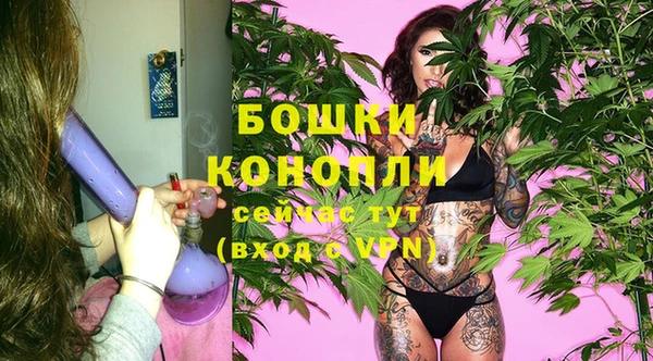 крисы Богородск